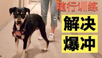 讯狗视频在线观看,讯狗视频带你在线观影新体验  第1张